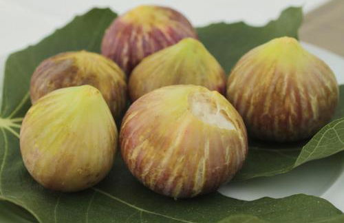 Mare Monte Luxury Suites - Photo 73