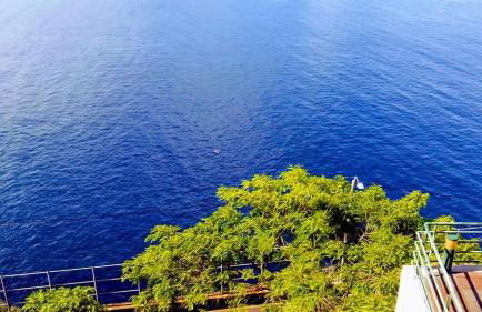 The Best Atlantic Ocean View - Photo 12