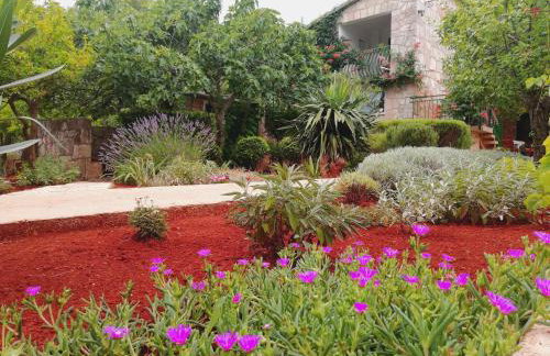 Apartments Basina - Foto 27