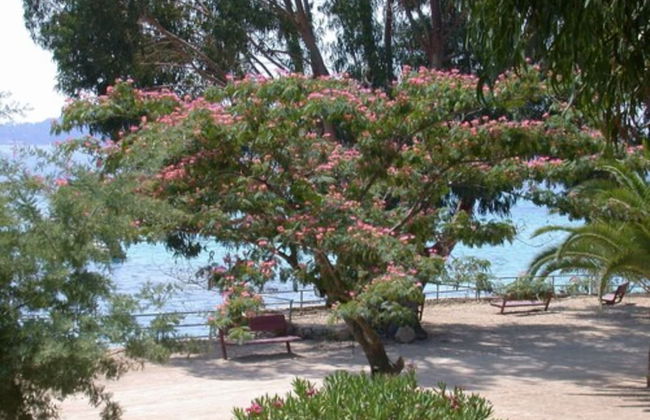 village vacances KALLISTERRA - Foto 18