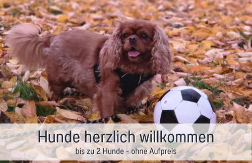 Ferienhaus Robbenglück in Tossens ideal für Familien und Freunde - 2 Hunde ohne Aufpreis - Foto 30