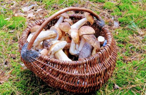 Friends&Family - Photo 54