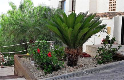 Altea Olivos G - Foto 26