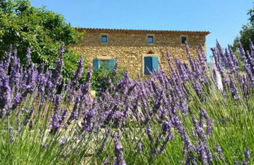 le mas du cypres, 12 pers et piscine - Foto 22