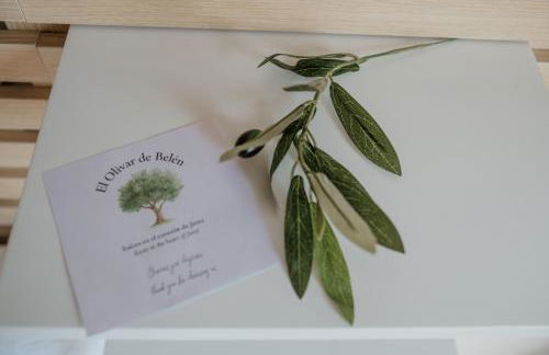 Olivar de Belén - Foto 52