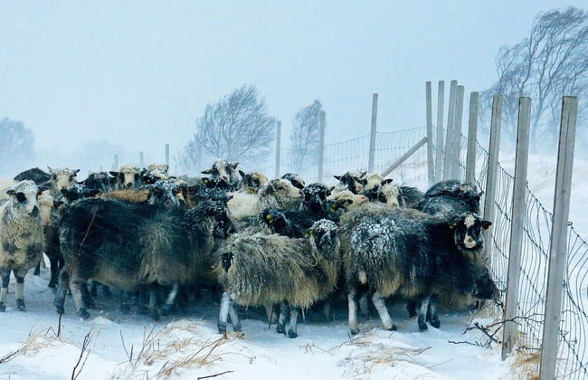 6 Person Holiday Home in Alsvag-by Traum - Photo 8