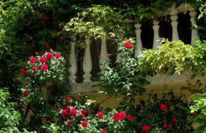 Terra Mirna - Urlaub für die Sinne - Foto 57