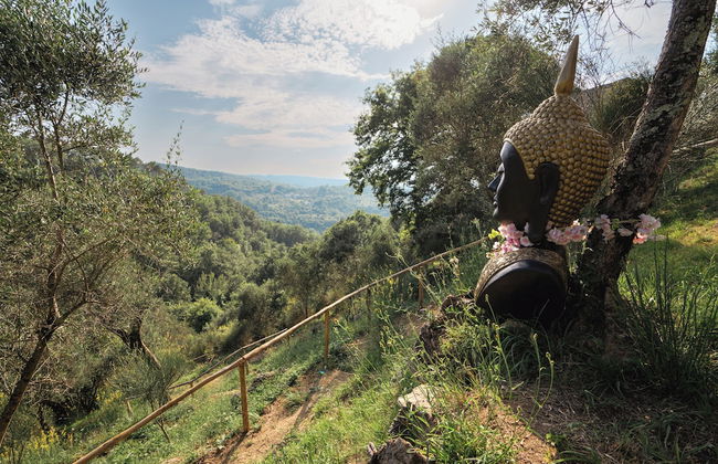 tenuta castel dell'aquila - Photo 43