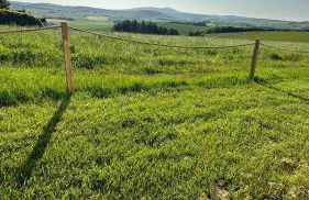 The Roundhouses - Foto 11