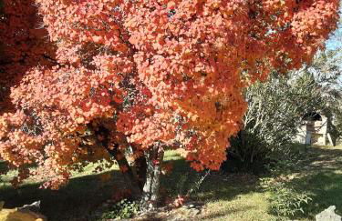 Bienvenus chez moi - Photo 10