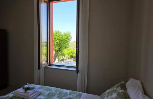 Tenuta degli Ulivi - Dimora Contadina - Foto 41