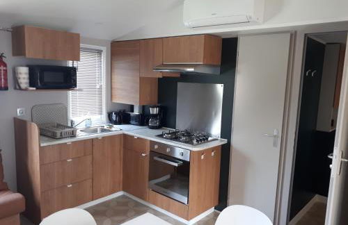 En bord d'eau - charmant Mobil-home climatisé - Cap ferret - Foto 4