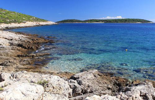 Apartments by the sea Brgujac, Vis - 8899 - Foto 4