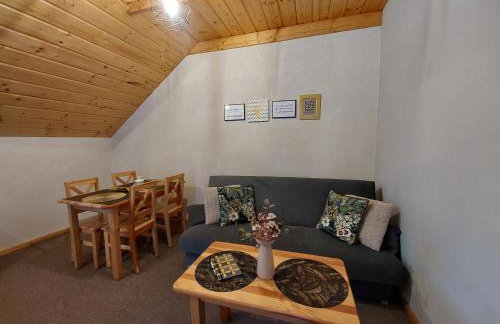 Zwardoniówka Apartamenty pod Orawcową - Foto 3