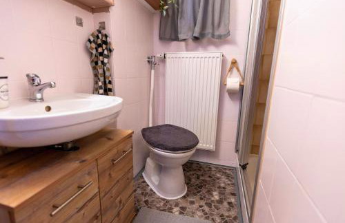 Haus Hindelang - 2 FeWos mit Zugspitzblick, inkl Königscard, gratis Parken & WLAN, Self Check-In, 5 Minuten ins Zentrum - Foto 39