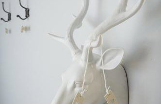 Shellbraes Studio - Foto 9