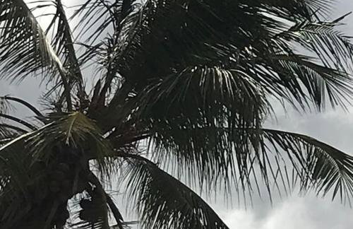 Casa do sossego - Foto 42