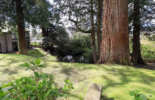 Puddleduck - Foto 26