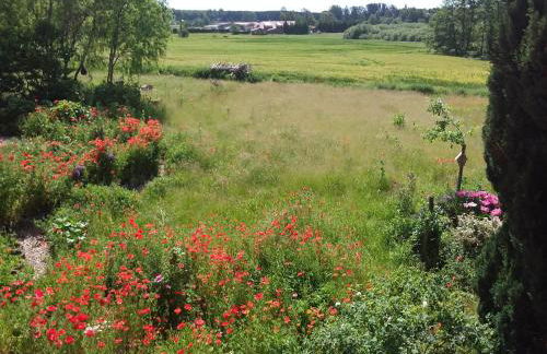 Haus Rosengarten- Ruhige Ferienwohnungen im Grünen - Foto 20