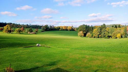 Ferienwohnung Waldlichtung - Foto 5
