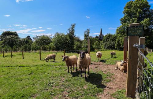 Limetree Luxury Glamping Southdown - Foto 25