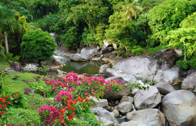 Casa Parcha - Photo 21