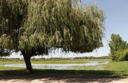 Mas du Versadou, dans un espace naturel protégé, piscine couverte chauffée toute l'année, Spa et salle de jeux - Foto 11