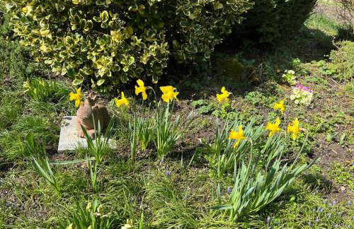 EMI4 Modern Apt Near Swiss Border Free Parking - Foto 46