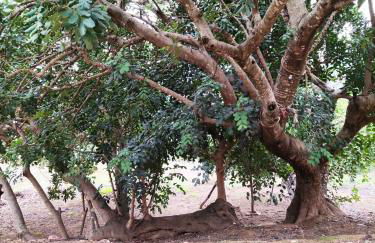 La Rueda Apartamentos Rurales - Foto 45