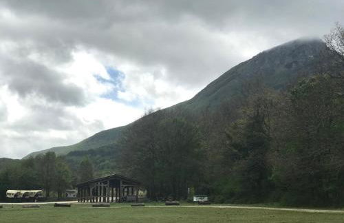 Tra gli ulivi - Foto 29