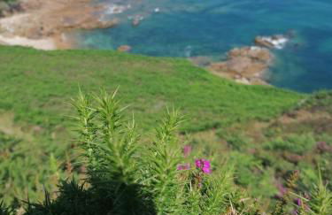 Belle villa à 150m de la plage. - Photo 43