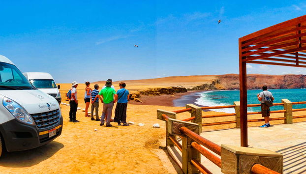Visiting the Paracas National Reserve