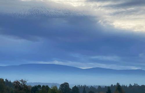 Przewietrzona Głowa - Foto 17