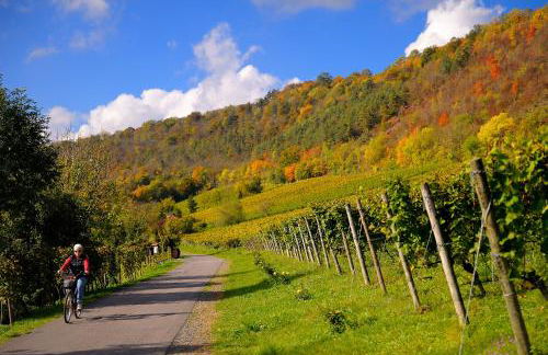 WEINQUARTIER Bad Kösen 65 qm Küche Parkplatz Terrasse Weinbergsblick - Foto 2