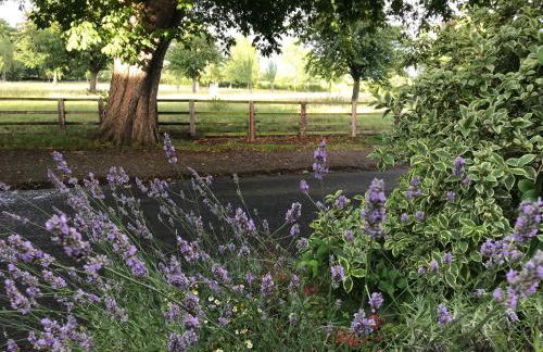 Apartment above Samantha Dadd Art Studio - in the Cotswolds - Foto 20