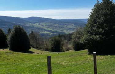 Le petit Kichon - Foto 41