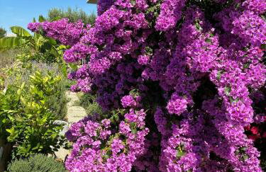 Villa Rocky Beach - Photo 15