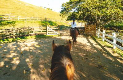 Fazzenda Park Resort - Foto 17