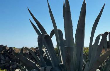 Casa Matilde a pochi passi dal mare - Foto 38