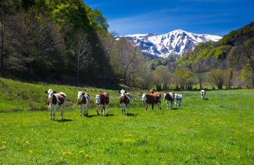 La Dormeuse du Val - Foto 36