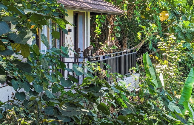 Perch El Nido - Foto 62