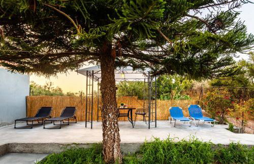 Makarounis Athanasios Traditional Apartments(Ξενώνας) - Foto 7