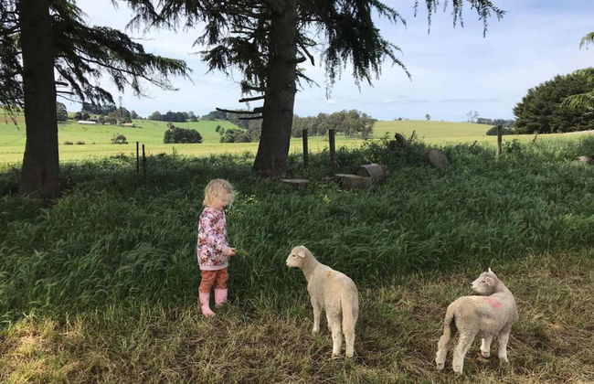 Jilly Park Farm Interactive Experience - Foto 35