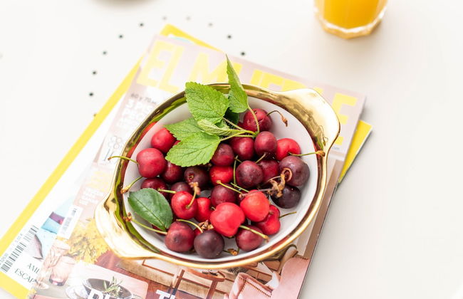 Apartamentos Ferreiros - Foto 26