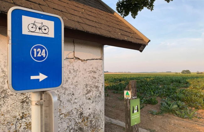 Holiday Home in Vlijtingen With Garden - Foto 38