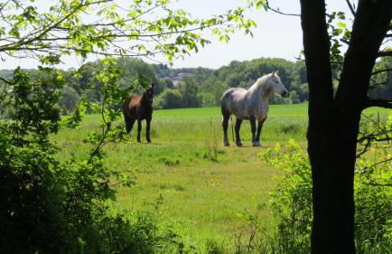 Gîte Relais du Doulay - Photo 50