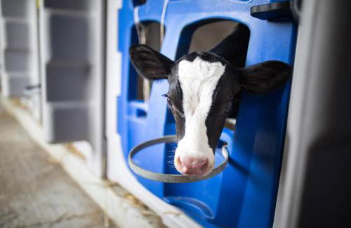 Agriturismo Carovane - Photo 13