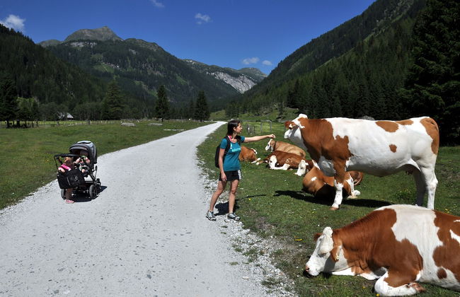 Chaletdorf Fanningberg - Foto 62