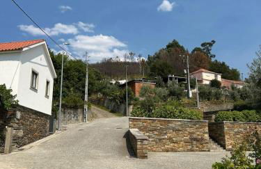 Quinta do Passal - Foto 38