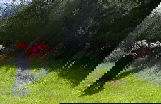 Candarlı Çiftliği - Foto 26